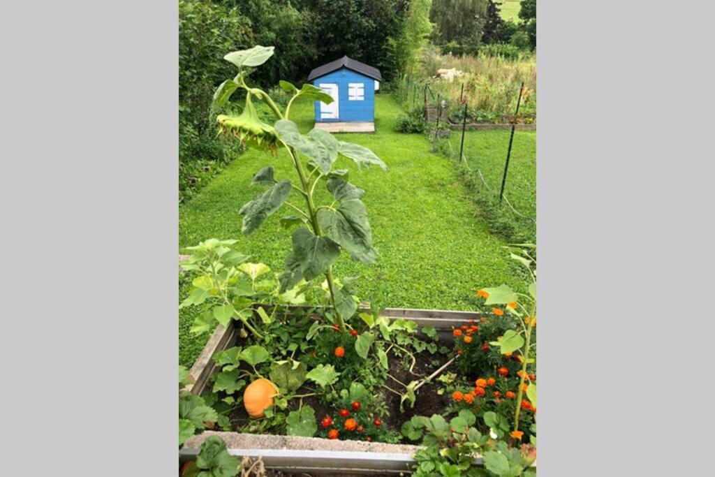 Maison Au Coeur Du Vignoble Jurassien 90 M2 Lavigny Exterior foto